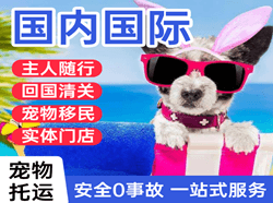 海拉尔机场物流国际宠物托运 【国